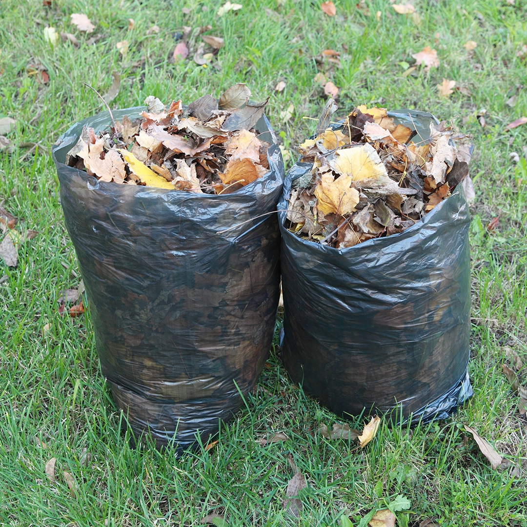 Lawn Waste Tips And Tricks For Collecting Yard Debris