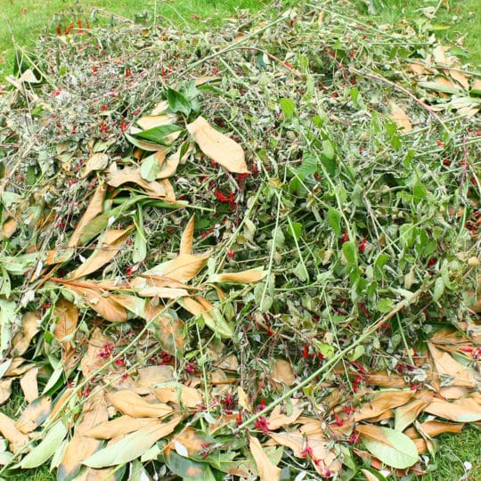 What Is Yard Waste And How Should You Get Rid Of It?